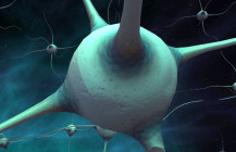 Cascade – Building the Brain Cascade – Building the Brain